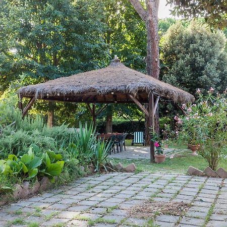 Agriturismo Artisti Del Cavallo 阿雷佐 外观 照片