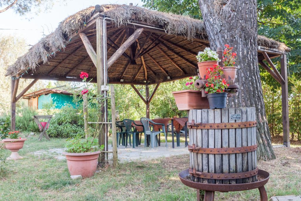 Agriturismo Artisti Del Cavallo 阿雷佐 外观 照片
