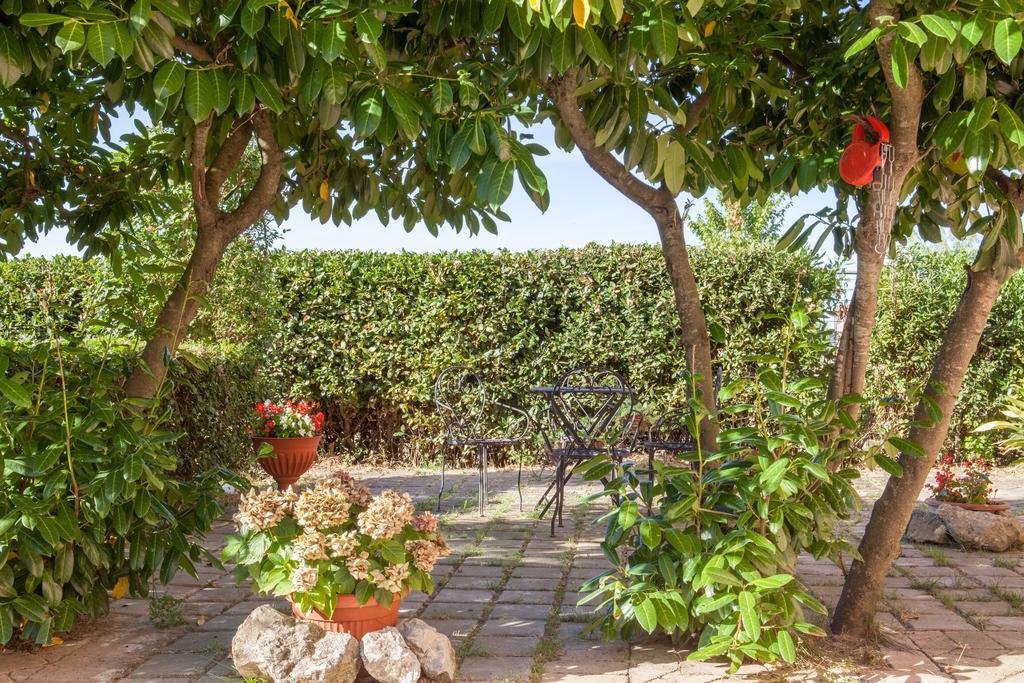 Agriturismo Artisti Del Cavallo 阿雷佐 外观 照片
